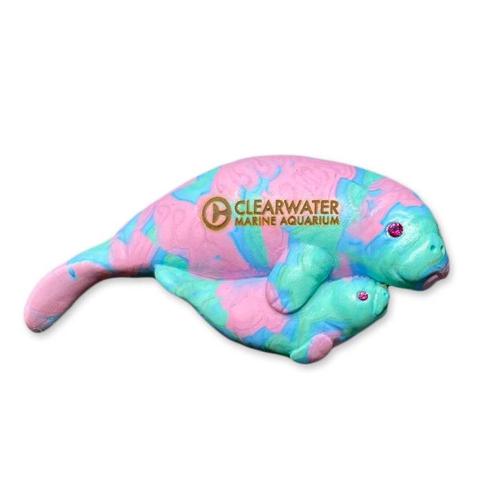 Clearwater Marine Aquarium Manatee Magnet