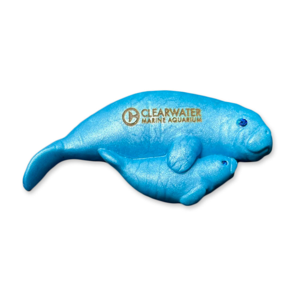 Clearwater Marine Aquarium Manatee Magnet