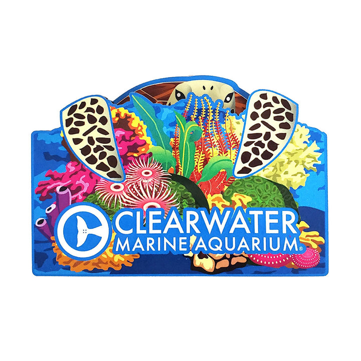 Clearwater Marine Aquarium Sea Turtle Pop Up Magnet