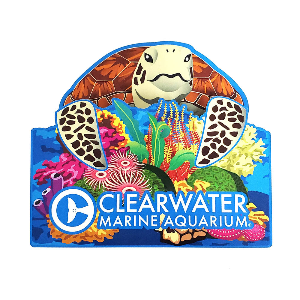 Clearwater Marine Aquarium Sea Turtle Pop Up Magnet
