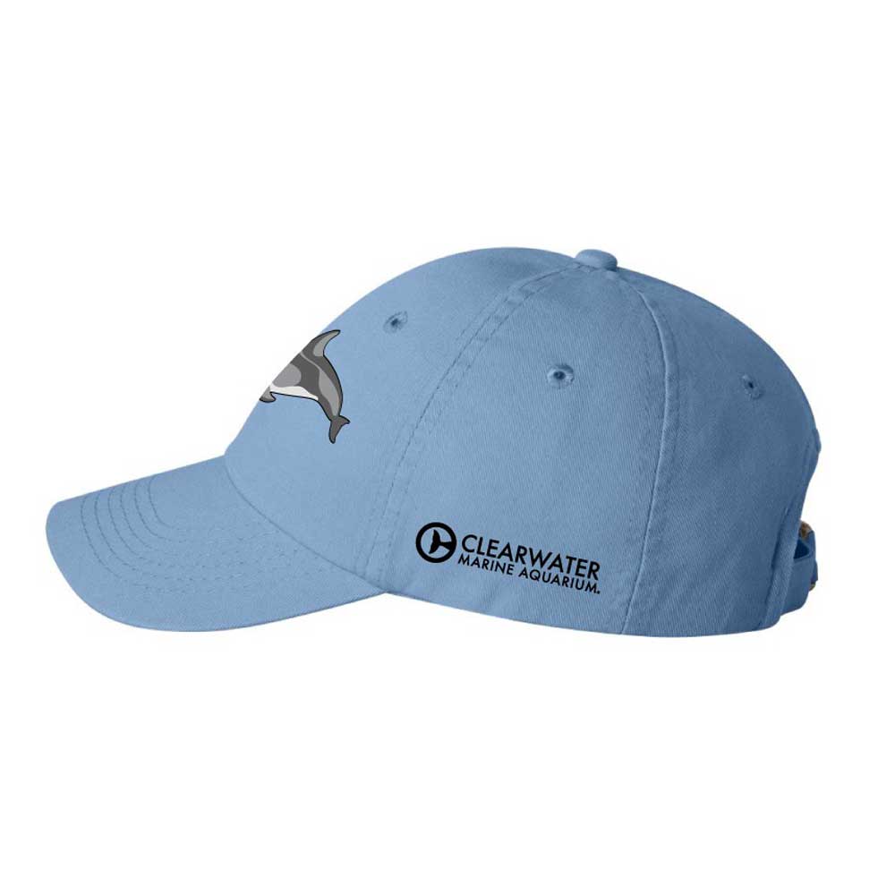 Clearwater Marine Aquarium Dolphin Youth Cap