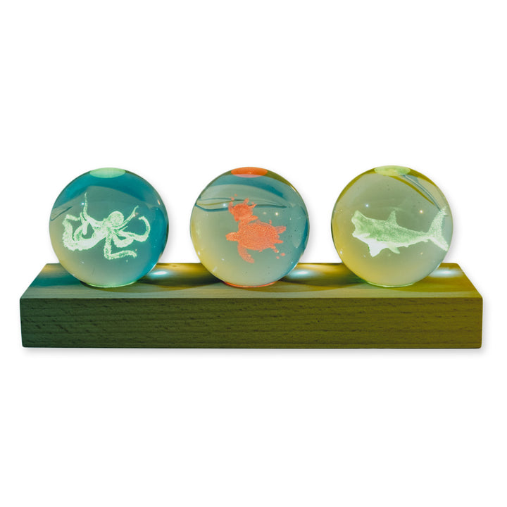 Etched Aqua Globe Set