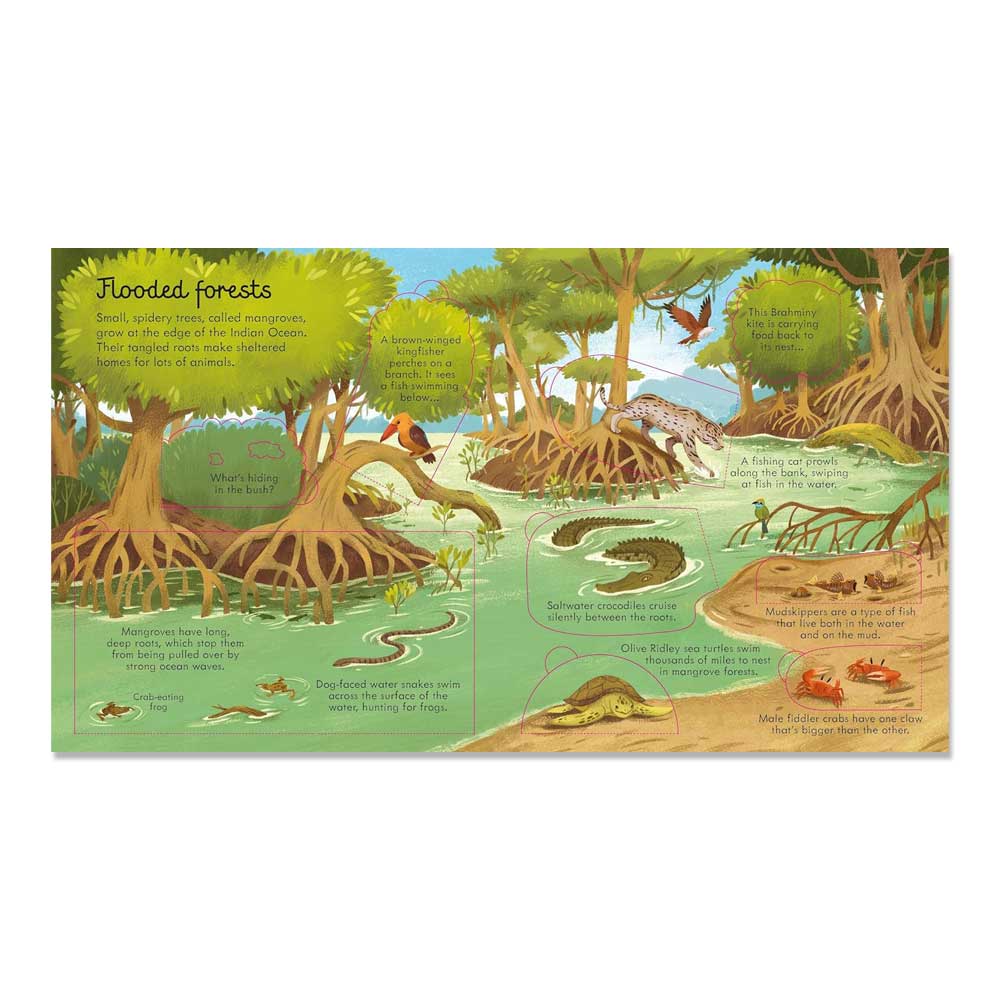 Look Inside Seas and Oceans: A Usborne Flap Book About Coral Reefs and Ocean Life for Children