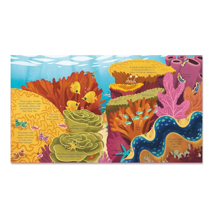 Look Inside Seas and Oceans: A Usborne Flap Book About Coral Reefs and Ocean Life for Children