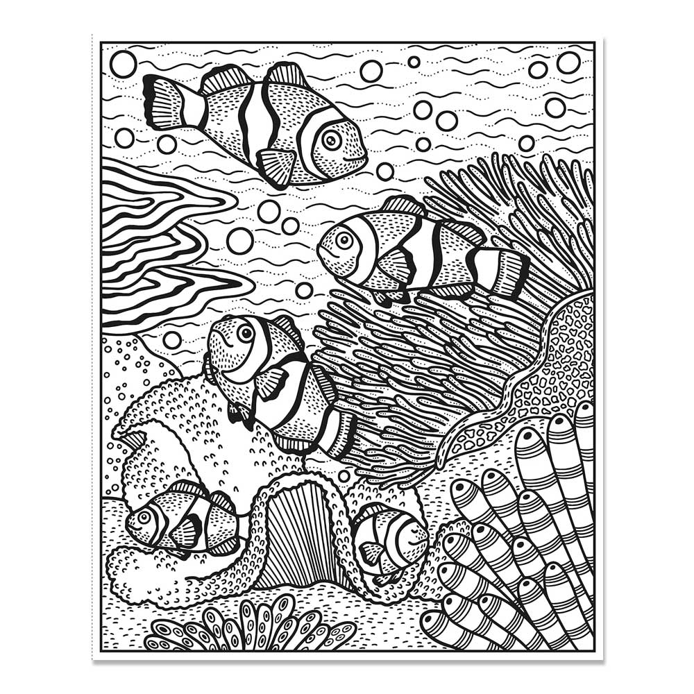 Coral Reef Magic Painting Book