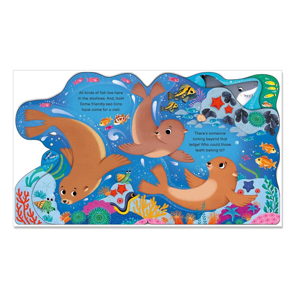 Who's in the Ocean Today?: A Shaped Board Book About Ocean Animals for Kids
