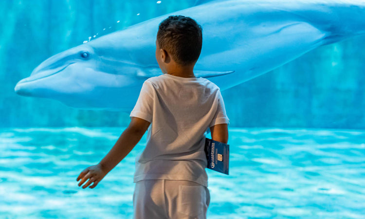 Earth Pal Jumbo Stingray – Clearwater Marine Aquarium Store