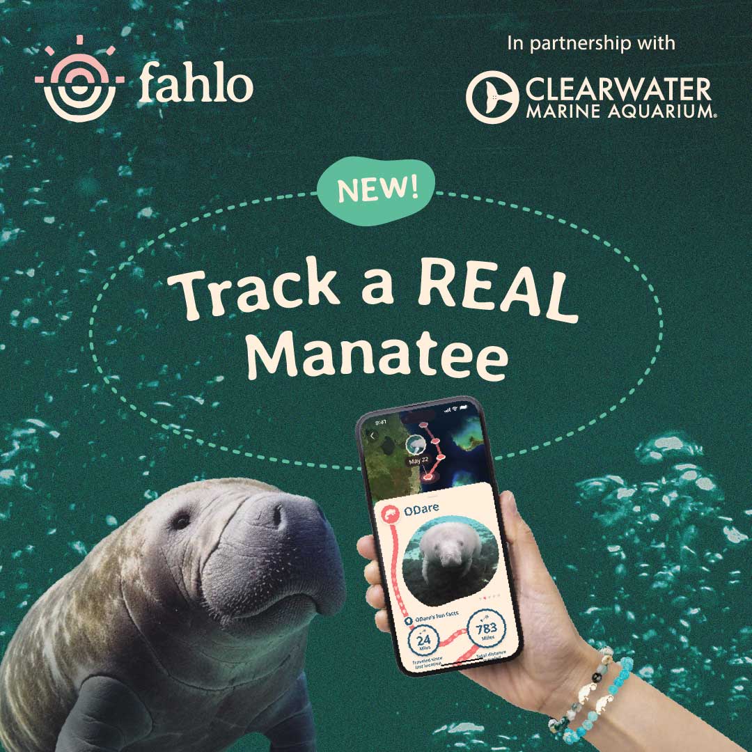 Fahlo Manatee Tracking Bracelet