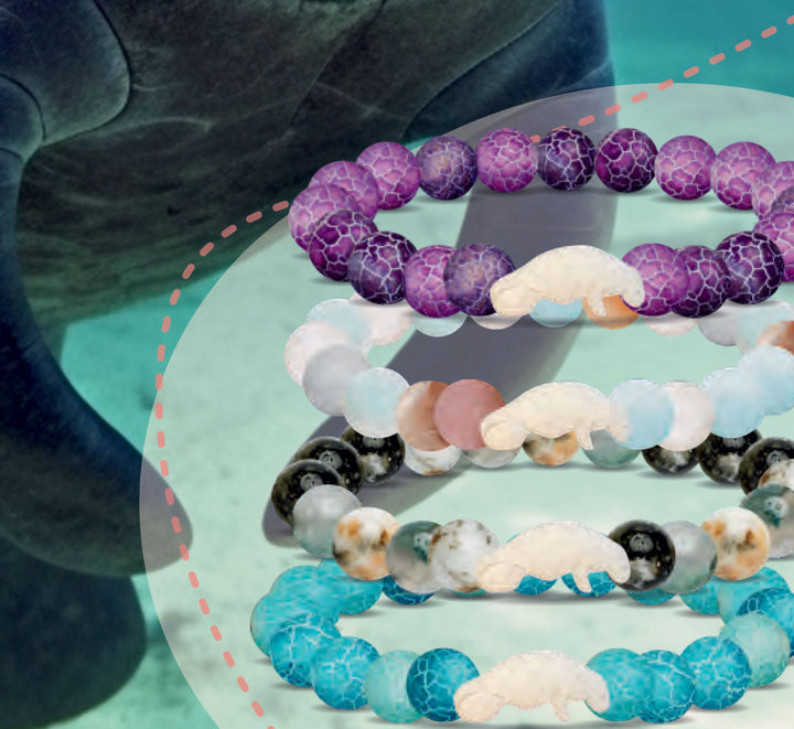 Fahlo Manatee Tracking Bracelet