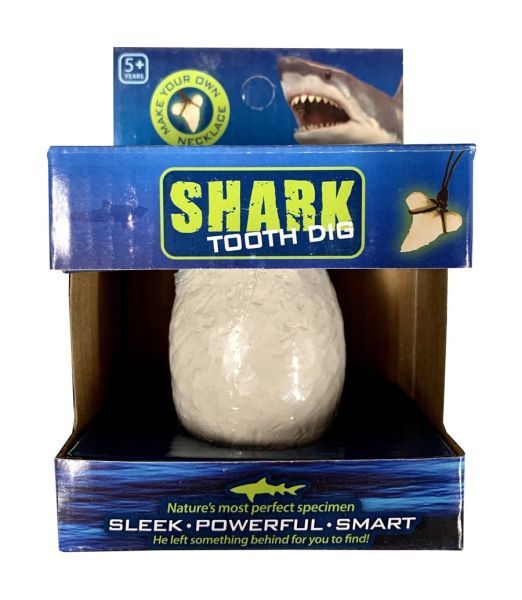 Shark Tooth Dig Kit