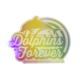 Dolphintopia Dolphins Forever Holographic Sticker 4"