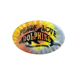 Dolphintopia Peace Love Dolphins Rainbow Oval 1.75" x 2.75" Button