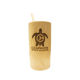 Clearwater Marine Aquarium Turtle Devotion Bamboo Cup with Straw